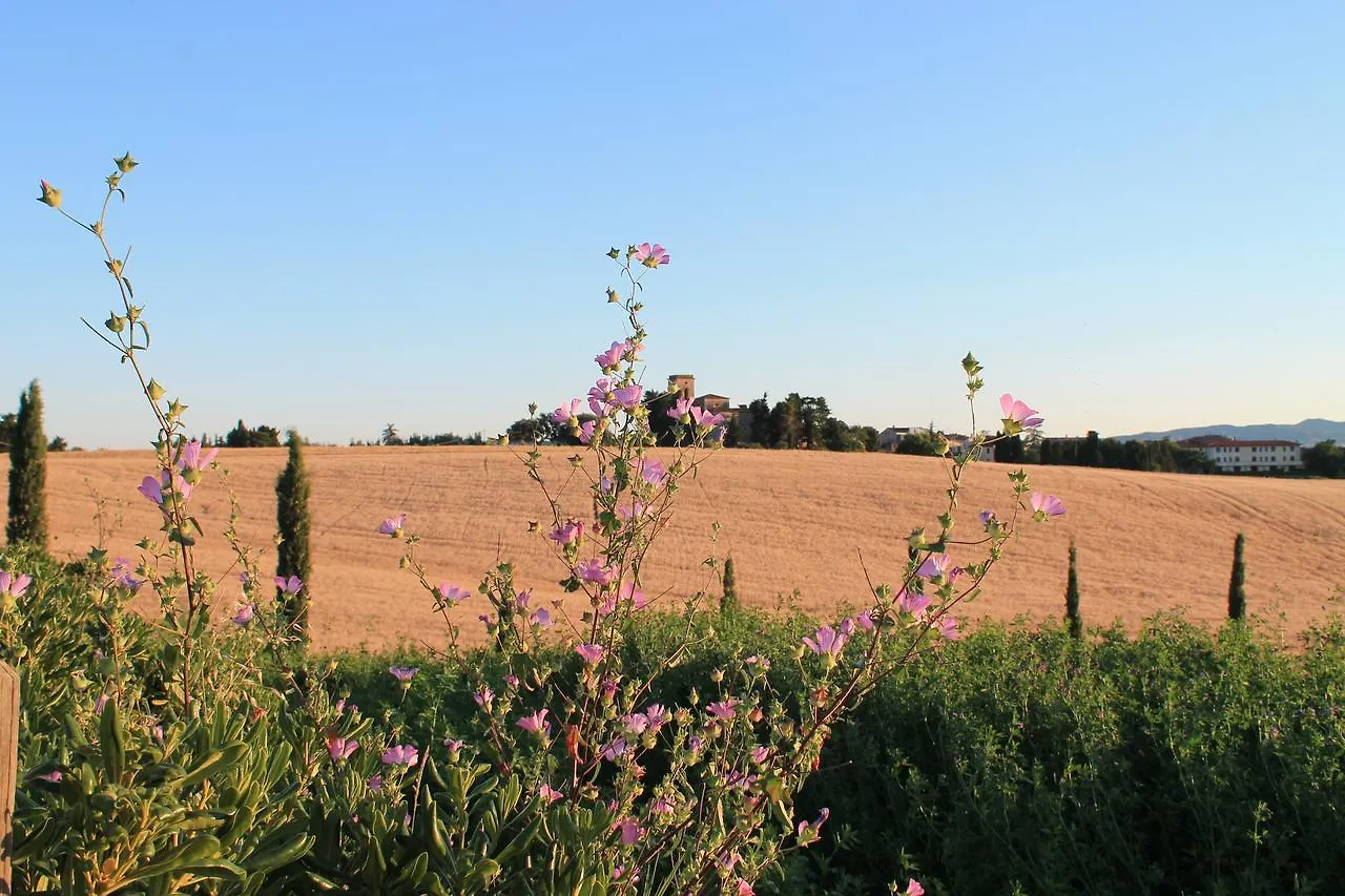 Il Poggio Della Pieve Apartments Santa Luce